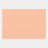 Peach Fuzz Cherry Gingham Pattern Geschenkpapier Set (Vorderseite 2)