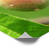 Peach Fuzz Poster (Ecke)