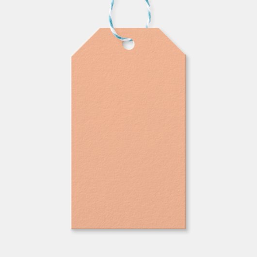 Peach Fuzz Solid Color Geschenkanhänger (Vorderseite)