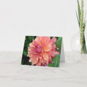 Peach Garden Dahlia Feiertagskarte