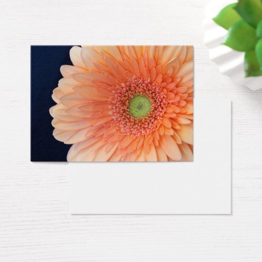 Peach Gerbera (Schreibtisch)