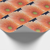 Peach Gerbera Geschenkpapier (Ecke)