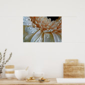 Peach Gerbera Poster (Küche)