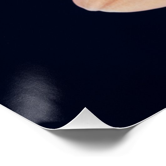 Peach Gerbera Poster (Ecke)