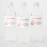 Peach Glitzer Babydusche ein wenig Pumpkin