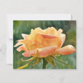 Peach Gold Rose Flower Art Note Card Set Mitteilungskarte (Vorderseite)