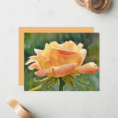 Peach Gold Rose Flower Art Note Card Set Mitteilungskarte (Vorderseite/Rückseite Beispiel)