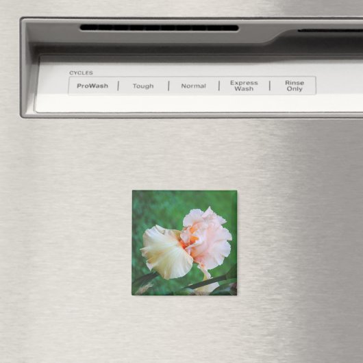 Peach Iris Magnet (In Situ (Geschirrspüler))