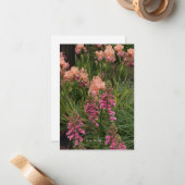 Peach Iris, Pink Foxglove Mitteilungskarte (Vorderseite/Rückseite Beispiel)