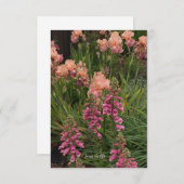 Peach Iris, Pink Foxglove Mitteilungskarte (Vorne/Hinten)