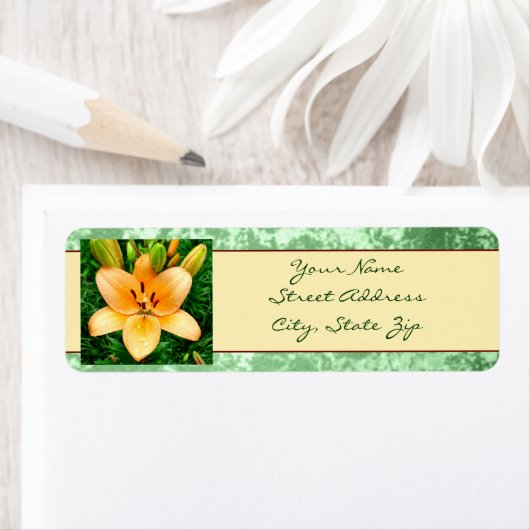 Peach Lily Foto (Insitu)