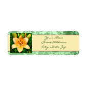 Peach Lily Foto (Vorne)