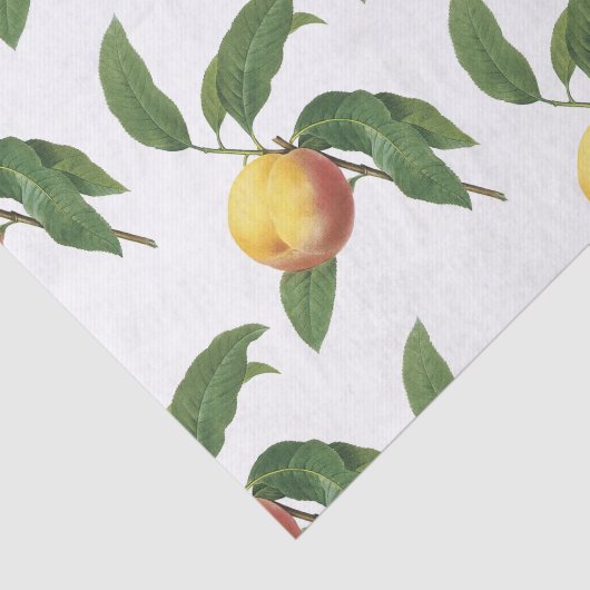 Peach-Muster Seidenpapier (Ausschnitt)