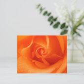 Peach Orange Rose Postkarte (Stehend Vorderseite)