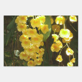 Peach Orchids with Raindrops Floral Geschenkpapier Set (Vorderseite 2)