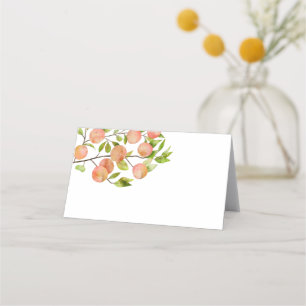 Peach Party Food Zelt Platzkarte