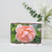 Peach Peony Postcard Postkarte (Stehend Vorderseite)