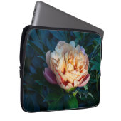 Peach Peony, Soft Pastell Blume Foto Laptopschutzhülle (Vorne Rechts)