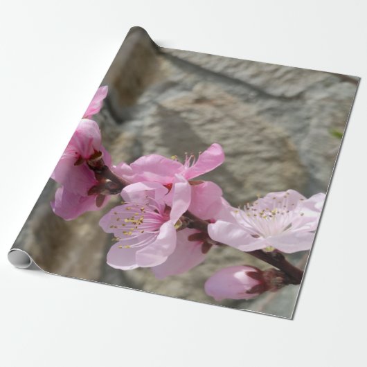 Peach petal flower geschenkpapier (Ungerollt)