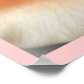 Peach Rose Apricot Rose Blume Blumenkohl Foto Poster (Ecke)