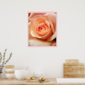 Peach Rose Apricot Rose Blume Blumenkohl Foto Poster (Küche)