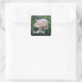 Peach Rose Blume Danke Aufkleber (Tasche)