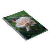Peach Rose Blume Nature Notebook Notizblock (Rechte Seite)