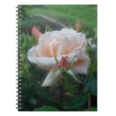 Peach Rose Blume Nature Notebook Notizblock (Vorderseite)