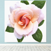 Peach Rose Canvas Print Leinwanddruck (Insitu (Holzboden))