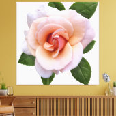 Peach Rose Canvas Print Leinwanddruck (Insitu (Wohnzimmer))