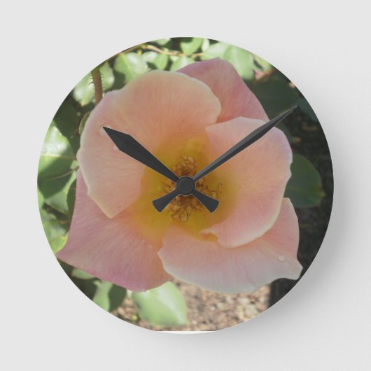 Peach Rose Clock Runde Wanduhr (Vorderseite)