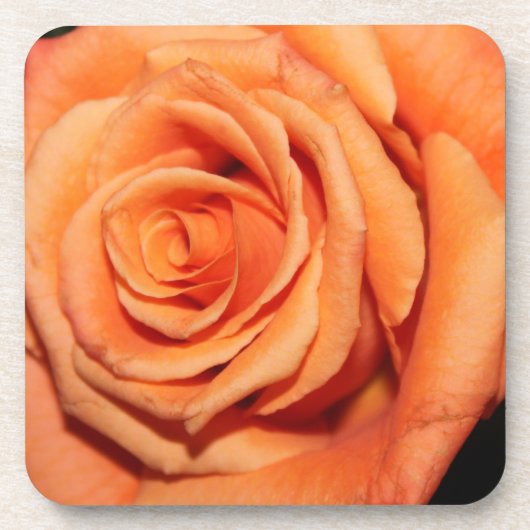 Peach Rose Cork Untersetzer (Vorderseite)