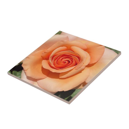 Peach-Rose Fliese (Seite)