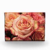 Peach-Rose Fotoblock (Vorderseite)