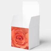 Peach-Rose Geschenkschachtel (Geöffnet)