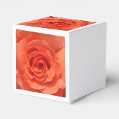 Peach-Rose Geschenkschachtel (Rückseite)