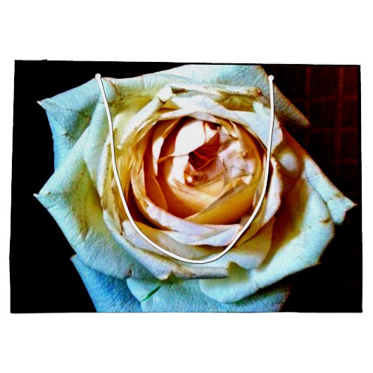 Peach-Rose Große Geschenktüte (Rückseite)