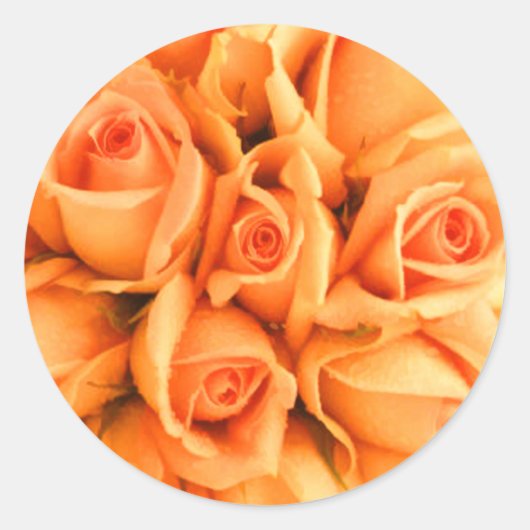 Peach Rose Hochzeitsticker für Umschlag Aufkleber (Vorderseite)