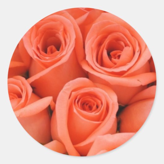 Peach Rose Hochzeitsticker und Umschlag Aufkleber (Vorderseite)