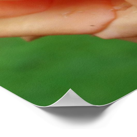 Peach Rose in Bloom Mirror Abstrakt Poster (Ecke)