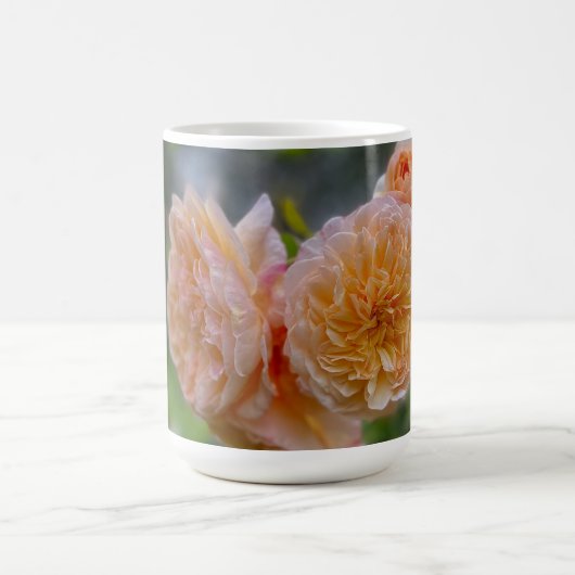 Peach-Rose Kaffeetasse (Mittel)