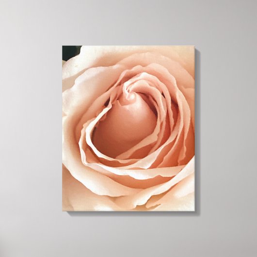 Peach-Rose Leinwanddruck (Vorderseite)