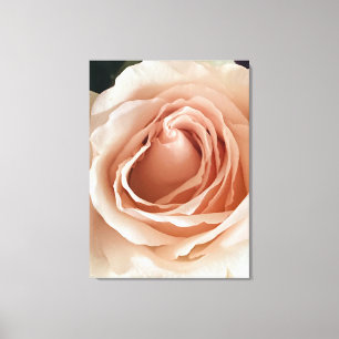 Peach-Rose Leinwanddruck