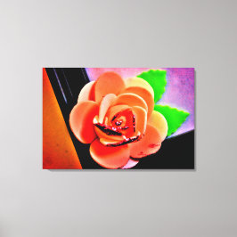 Peach-Rose Leinwanddruck