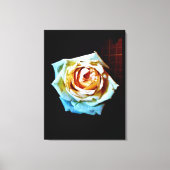 Peach-Rose Leinwanddruck (Vorderseite)