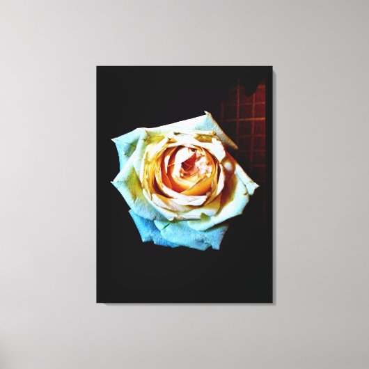 Peach-Rose Leinwanddruck (Vorderseite)