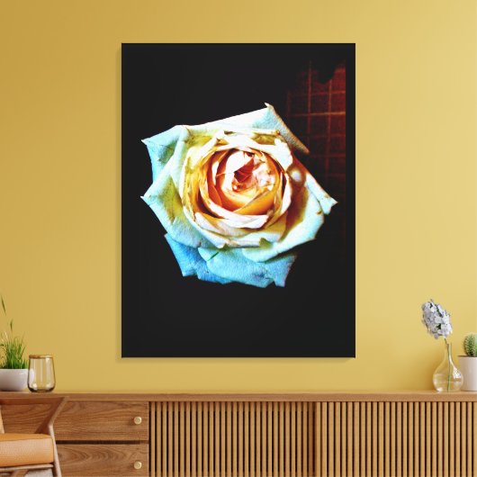 Peach-Rose Leinwanddruck (Insitu (Wohnzimmer))