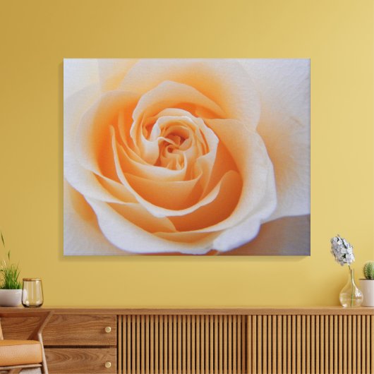 Peach-Rose Leinwanddruck (Insitu (Wohnzimmer))