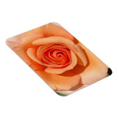 Peach-Rose Magnet (Rechte Seite)