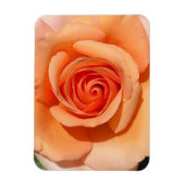 Peach-Rose Magnet (Vertikal)